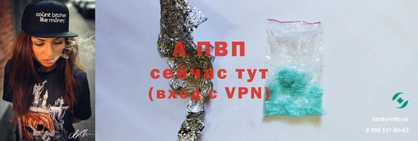 стафф Аркадак