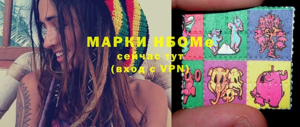 стафф Аркадак
