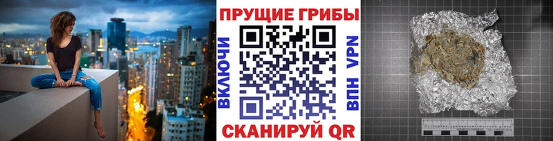 как найти наркотики  Мамоново  Галлюциногенные грибы Magic Shrooms 